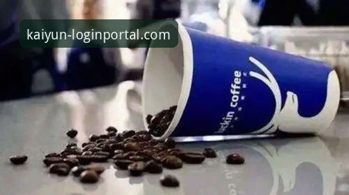 kaiyun体育平台功能使用指南：深度评测与实用经验分享